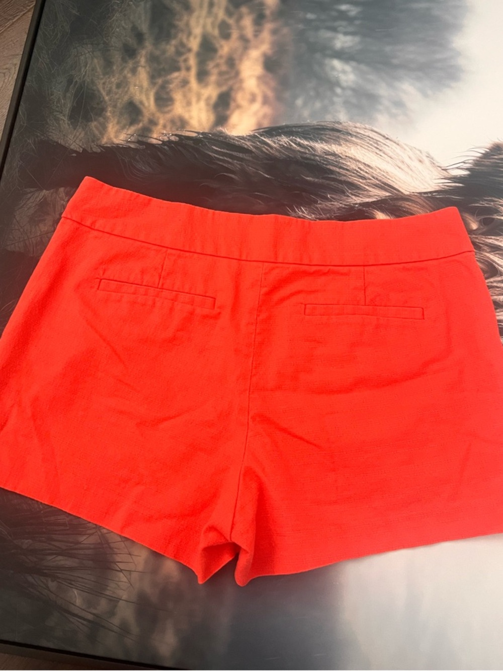 J. Crew Coral-Red High Waist Tailored Shorts - Picture 5 of 8